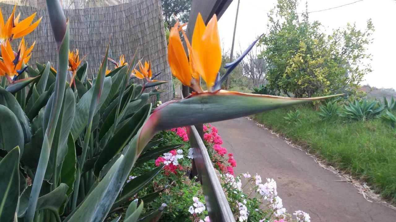 הוילה Moya  Barrancolaurel מראה חיצוני תמונה